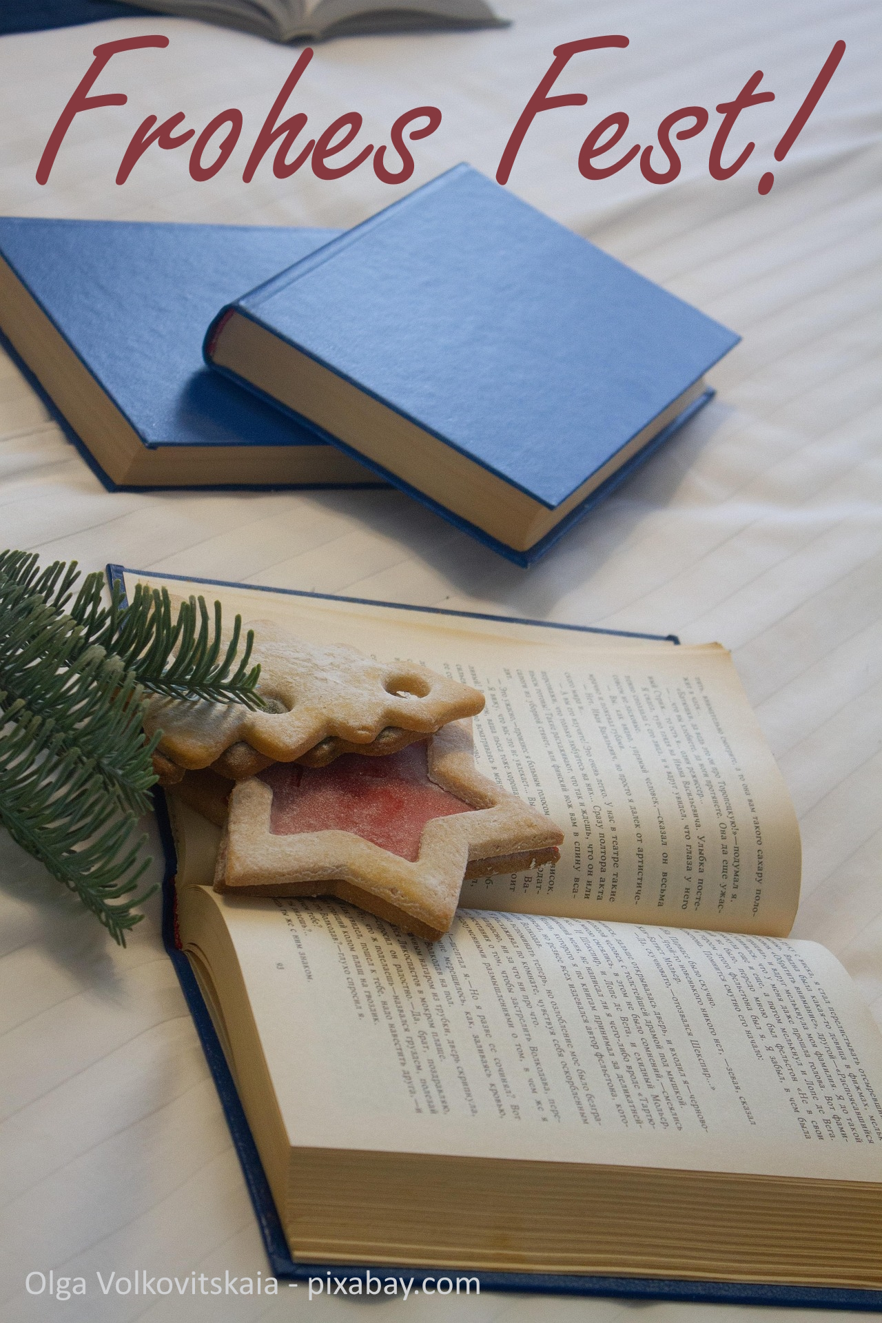 Auf einem Bett liegen zwei blaue Bücher. Daneben liegt ein offenes Buch. Tannen grün und ein Weihnachtskeks in Form eines Sterns liegen darüber.